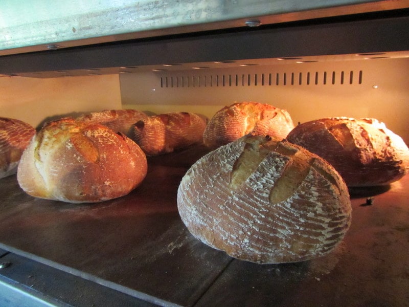 Bread baking in oven