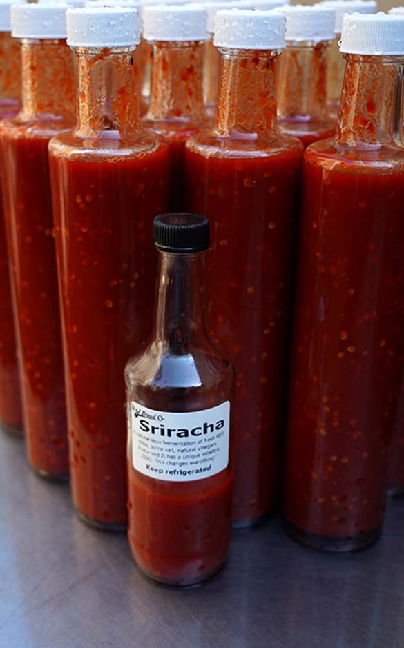 Bottles of sriracha